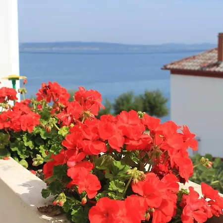 Apartament By The Sea Kali, Ugljan - 8503