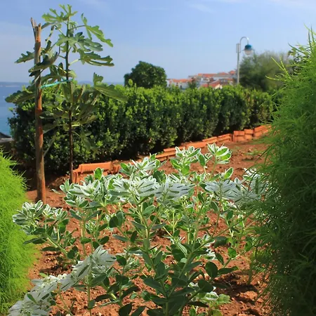 Daire By The Sea Kali, Ugljan - 8503 *